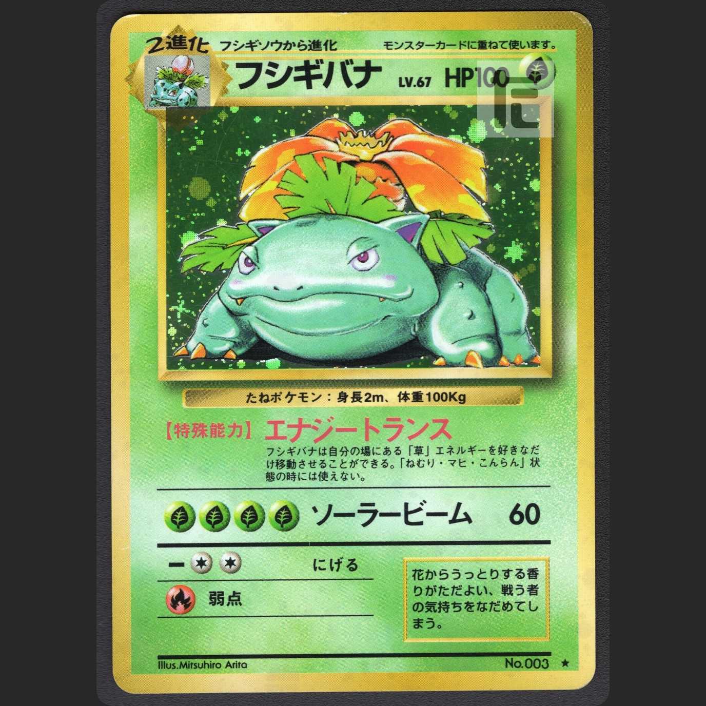 Venusaur LV.67 [Plaid] old back/managed by MP0864