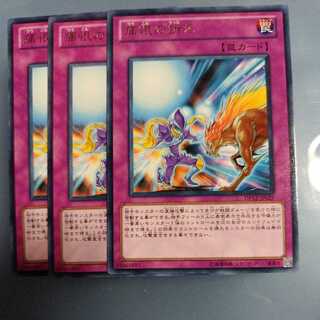 痛恨の訴え レア　☆