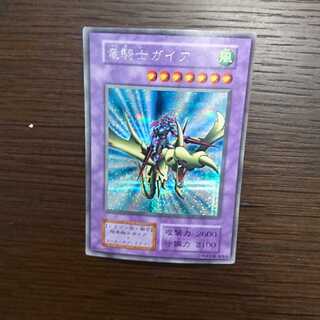 竜騎士ガイア シークレット