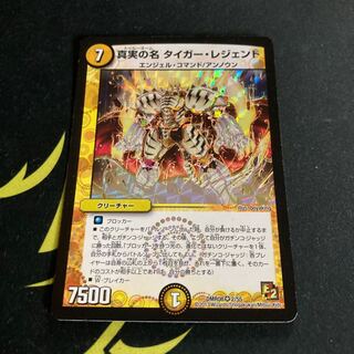 The True Name Tiger Legend