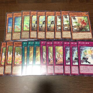 春化精　フルコンプセット　 1枚