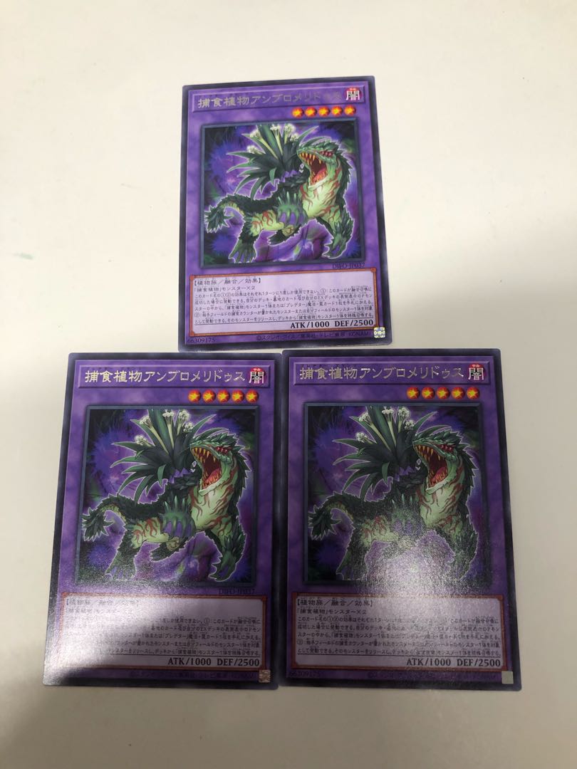 Prey Upon Plant Ambromeridus Set of 3