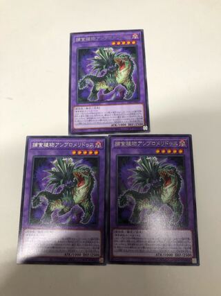 Prey Upon Plant Ambromeridus Set of 3