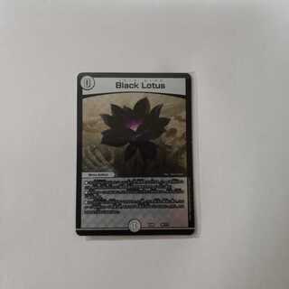 ブラックロータス ／ Black Lotus 最安値