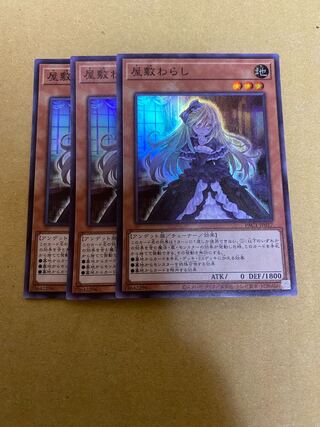 Ghost Belle & Haunted Mansion Effect Veiler Set