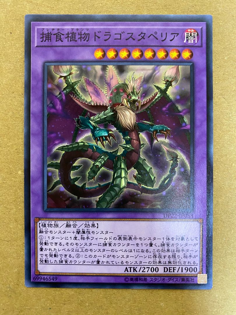 Predaplant Dragostapelia normal (2)