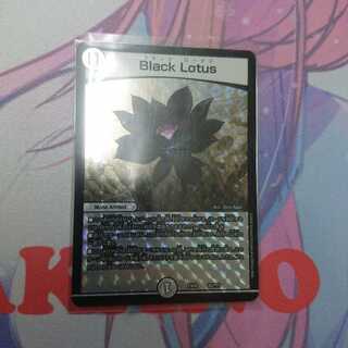 Black Lotus