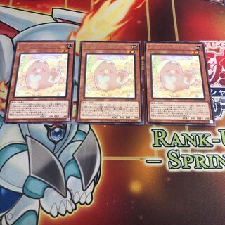 Melffy Puppy Rare 3 pieces