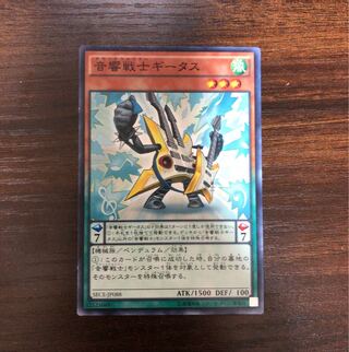 Symphonic Warrior Guitaar