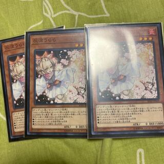 Ash Blossom & Joyous Spring Normal 3-piece set