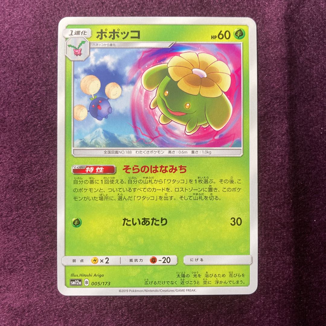 ポポッコ そらのはなみち