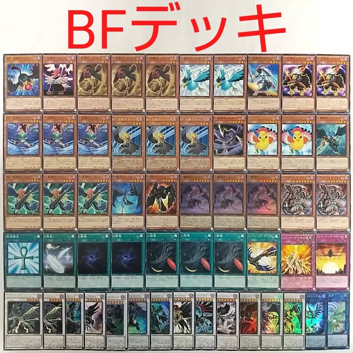 Yu-Gi-Oh Deck] BF Full Armored Wing Simorgh, Bird of Sovereignty BF Poison Wind Simoon