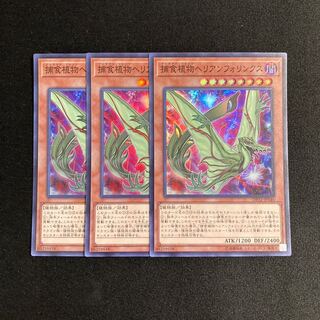 p322 捕食植物ヘリアンフォリンクス スーパーレア 3枚 遊戯王 トレトレ