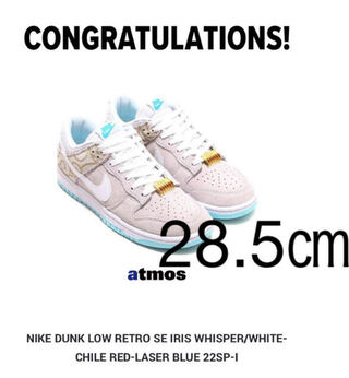 Nike Dunk Low "Barber Shop Grey" 28.5cm 28.5cm