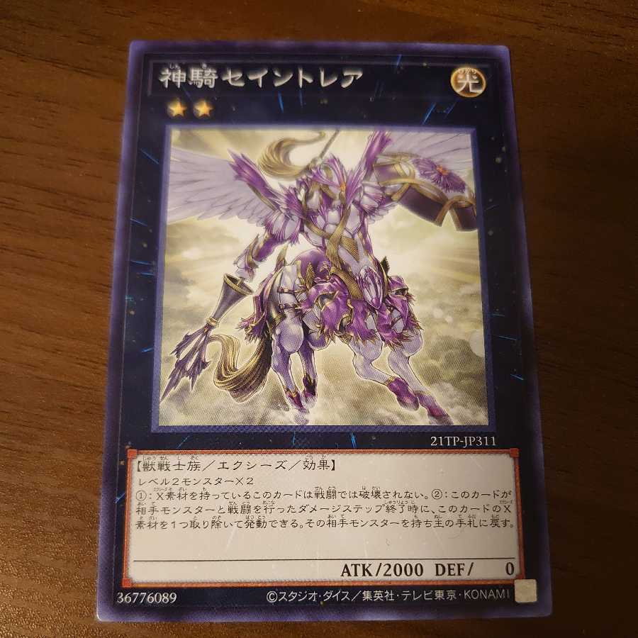 Sky Cavalry Centaurea