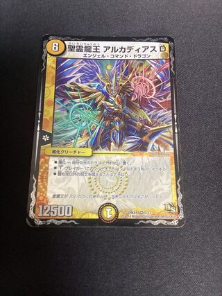 聖霊龍王 アルカディアスD