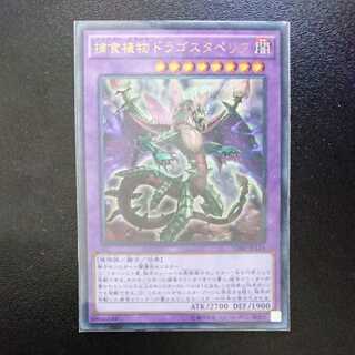 Predaplant Dragostapelia Ultra Rare