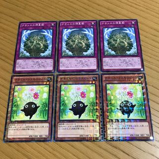 Naturia Sacred Tree Naturia Cosmobeet 6-piece set