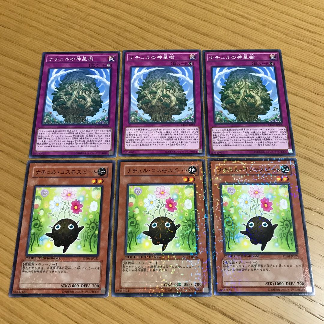 Naturia Sacred Tree Naturia Cosmobeet 6-piece set