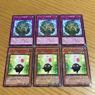 Naturia Sacred Tree Naturia Cosmobeet 6-piece set