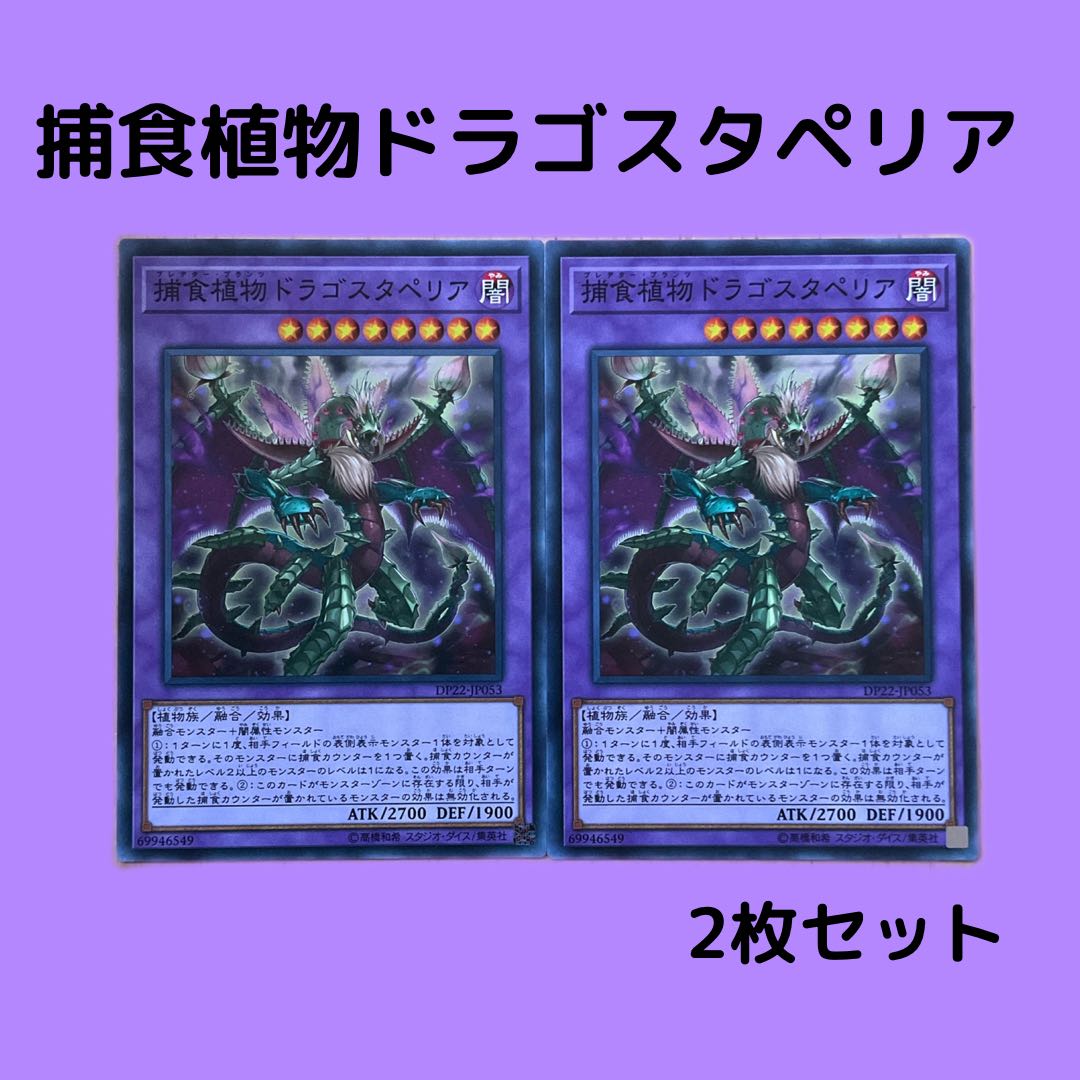 Predaplant Dragostapelia Normal Set of 2