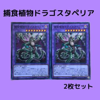 Predaplant Dragostapelia Normal Set of 2