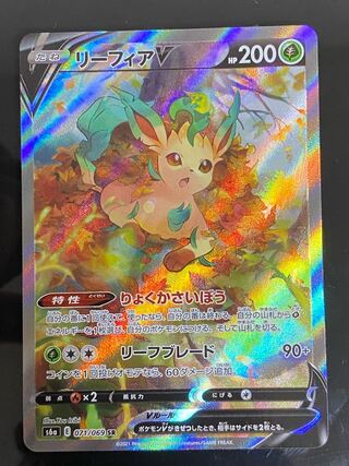 Beautiful] LeafeonV SR SA