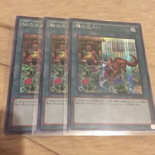 隣の芝刈り アジア シク