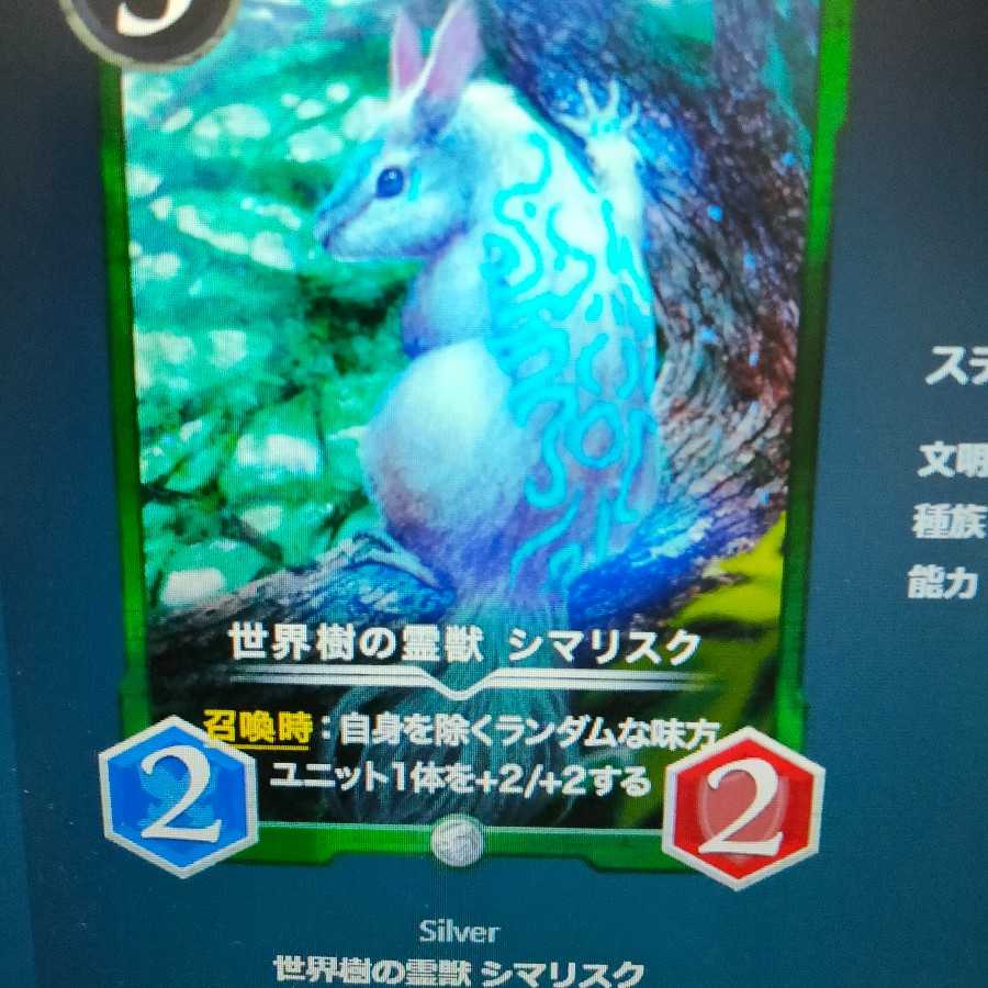 まにがっさ様専用