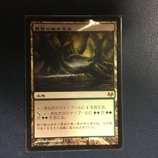 黄昏のぬかるみ