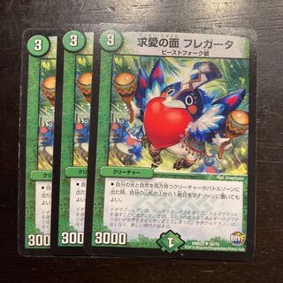 Faces of courtship Fregata