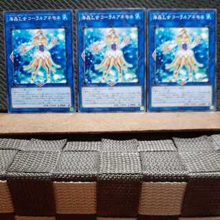 Popotan] Yu-Gi-Oh! 6880 Marincess Coral Anemone Normal Three Cards
