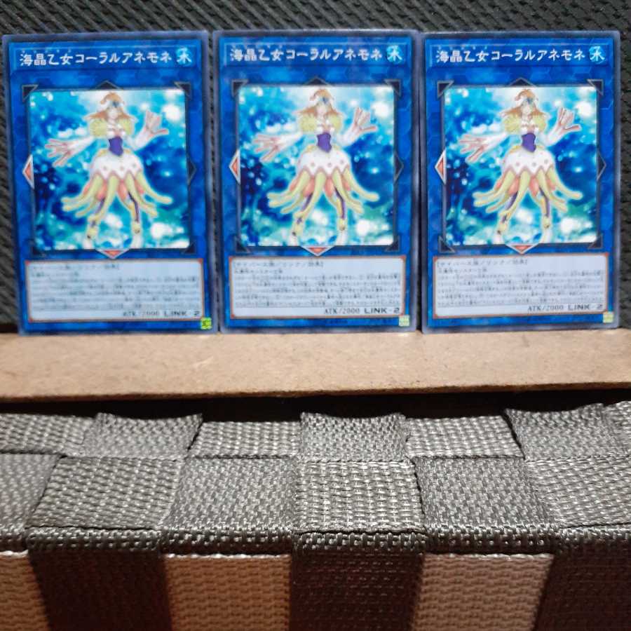 Popotan] Yu-Gi-Oh! 3818 Marincess Coral Anemone Normal Three Cards