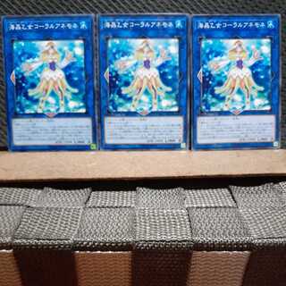 Popotan] Yu-Gi-Oh! 3818 Marincess Coral Anemone Normal Three Cards
