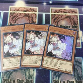 Ash Blossom & Joyous Spring