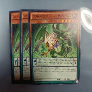 Amorphage Pride Normal ☆