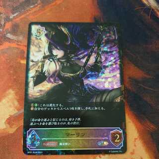 マーリン SL 4枚まで 4枚