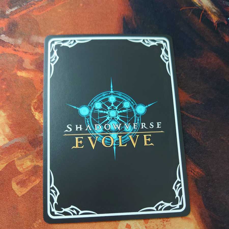 マーリン SL 4枚まで 4枚