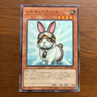 Rescue Rabbit Normal