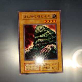 Mud Hiding and Dwelling Initial Normal ☆