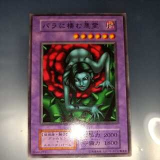 Rose Spectre of Dunn Early Normal ☆