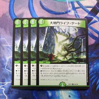 Large Gate Life Gate