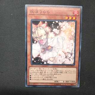 Ash Blossom & Joyous Spring Normal