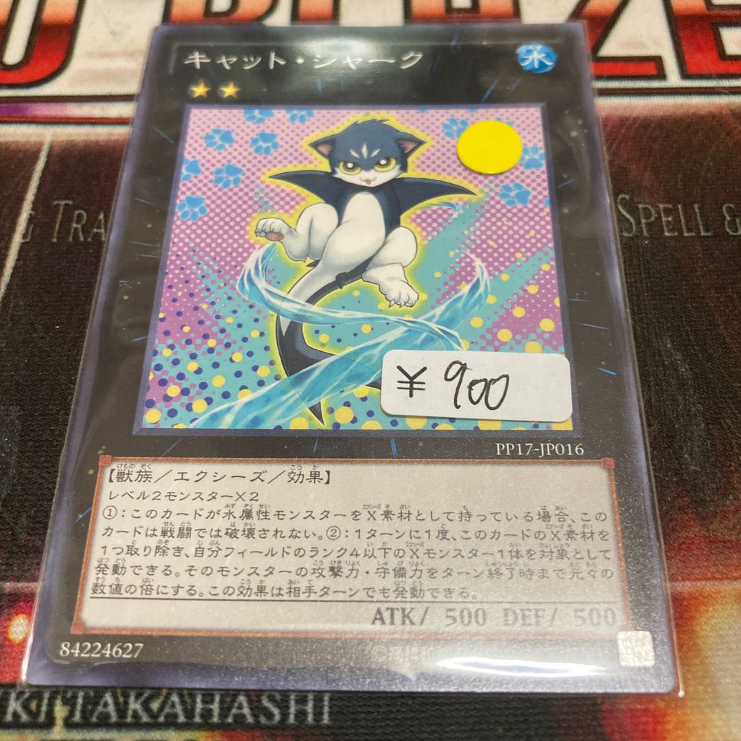 Cat Shark Normal 1 piece Special Price