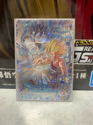 ラグス様専用 1枚