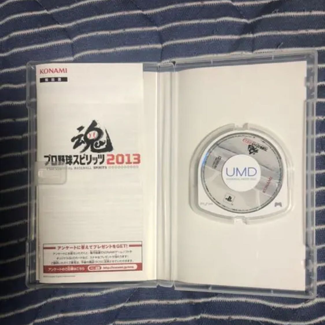 Pro Baseball Spirits 2013