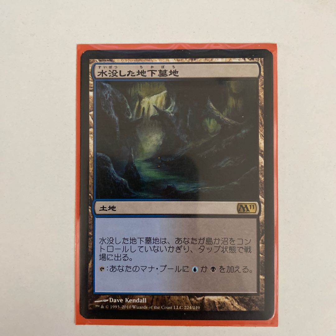 水没した地下墓地 レア