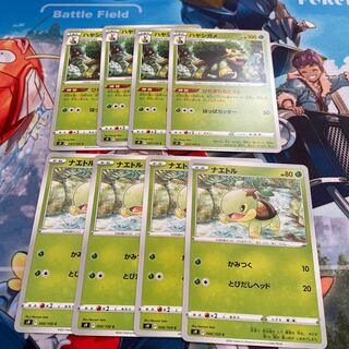 Grotle Hidamari no Koura Turtwig