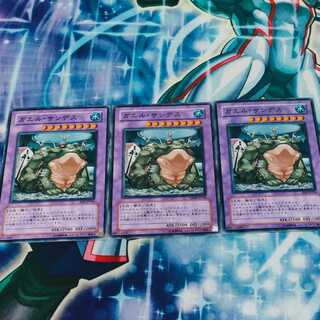 D.3.S. Frog Normal x 3