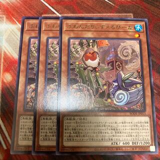 Floowandereeze & Robina Rare 3 copies